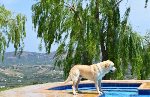 Apokoronas Villa | Aspalathos Villas