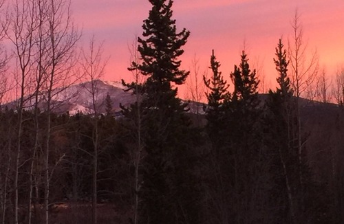 Fairplay Cabin | Aspens! 2 ACRES AMAZING LOG CABIN, HOT TUB FIREPLACE VIEWS PRIVATE