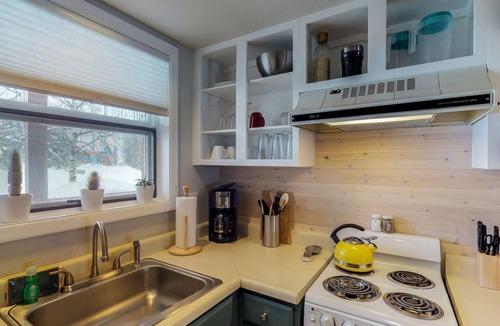 Pagosa Springs Apartment | Aspenwood condo with mountain view - near shopping & dining - 1 dog ok