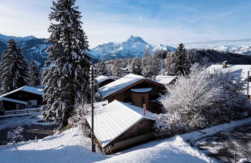 Barboleusaz Apartment | Asters B1 - bright 2 bedrooms close to the Gryon-Villars-Les Diablerets ski resort