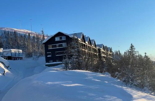 Atra Apartment | Astonishing Mountain Lodge at the top of Gaustablikk, 25m2 west facing terrace, 3 bedrooms