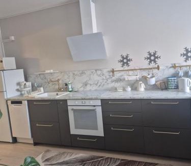 Vanhahovi Apartment | Asunto Kitee