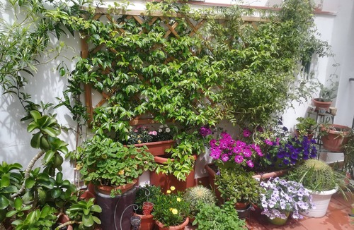 Kalsa Apartment | At Kalsa Quiet & Flowered Terrace Free Parking! Ideal for remote working.
