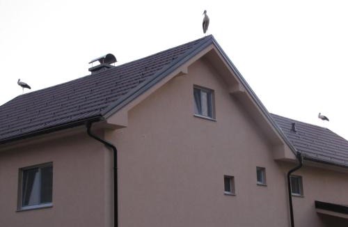 Ljutomer Apartment | Atera