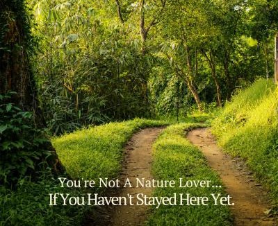 Irinjalakuda Bed & Breakfast | Athirapilly Fernvalley Resort