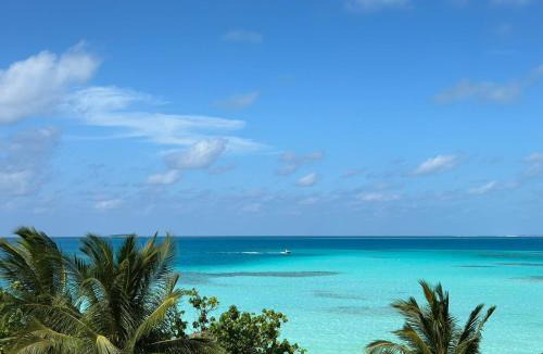 Dhiffushi Hotel | Athiri Residence Dhiffushi