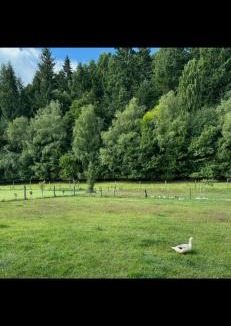 Athol Bed & Breakfast | Athol Country Bed & Breakfast
