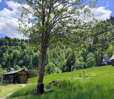 Brosteni Ski Chalet | Atipic Chalet