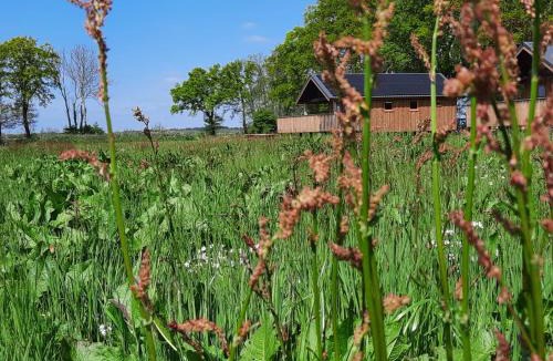 Ruinerwold House | Atmospheric lodge with unobstructed view located in beautiful Drenthe