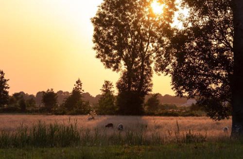 Ruinerwold House | Atmospheric lodge with unobstructed view located in beautiful Drenthe