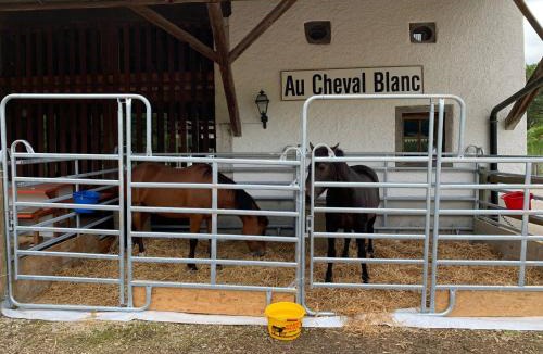Asuel House | Au Cheval Blanc