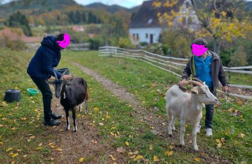 Obersteinbach Bed & Breakfast | Au numéro 6