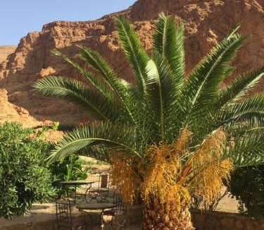 Toudgha El Oulia Hotel | Auberge Le Festival Todra Gorge