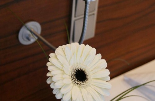 Augustenstraße Hotel | Augusten Hotel München