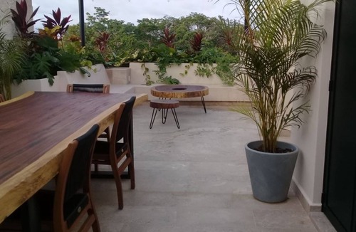 La Veleta Apartment | Aura Jungle Oasis