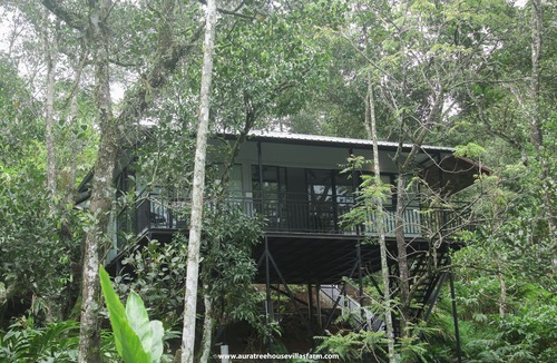 Elappara Villa | Aura Tree House Villa Farm