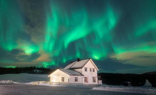 Lenvik Resort | Aurora Borealis Observatory