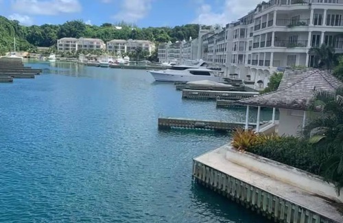 Mullins Condo | Aurora Tropical
