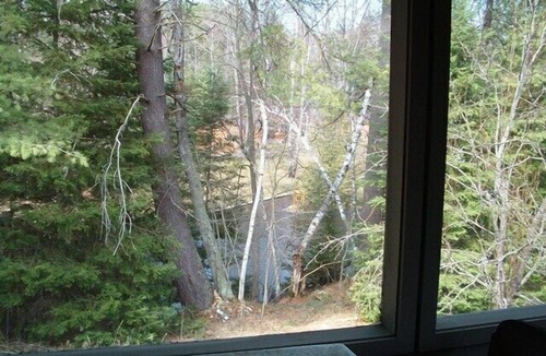 Grayling Cabin | AuSable River Rustic Cabin w/Central Air