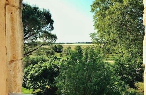 Marguerittes House | Authentic 18th century farmhouse