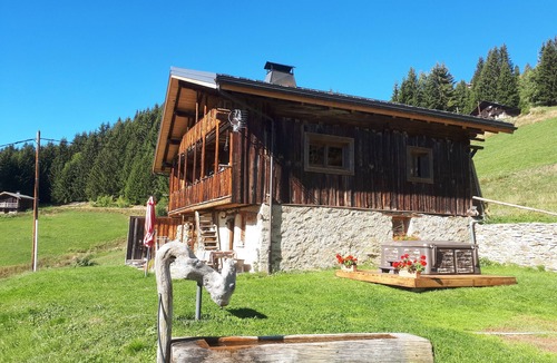 Bisanne 1500 Ski Chalet | Authentic alpine chalet,