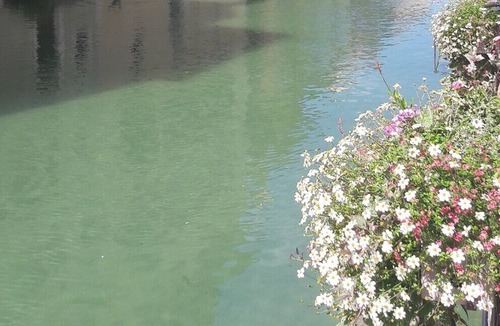 Annecy Old Town Hotel | Authentic and warm, charming T2 in hyper center R. Royal old town