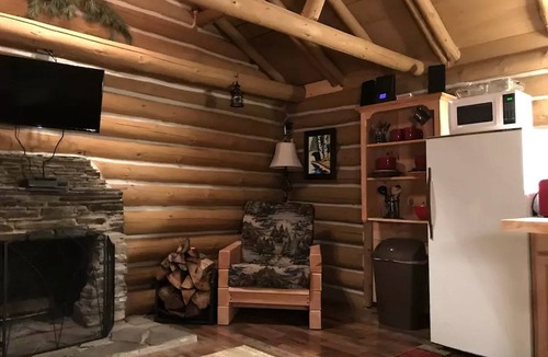 Glenfield Cabin | Authentic Log Cabin Rental for a Family Camping Getaway near Chase Lake, New York