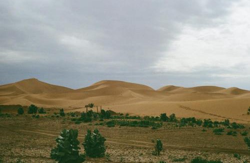 M'Hamid El Ghizlane Other | Authentic Sahara with Locals