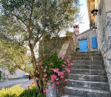 Rojnici House | Authentic stone house Miro