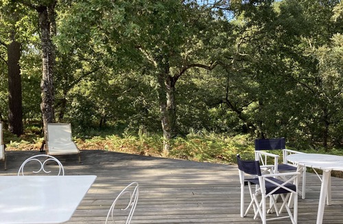 Luxey House | Authentic vast 1850 Landes farmhouse in the heart of the forest with no neighbors 30 p