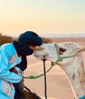 M'Hamid El Ghizlane Other | Authentique berber Camp & Activities