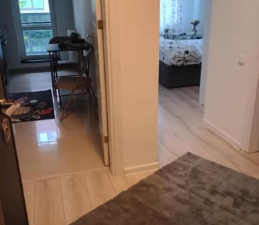Chiajna Apartment | Avangarde House