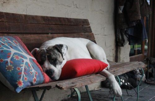 Macclesfield House | Avoca Park Equestrian Farmstay