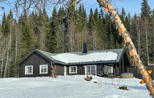 Trysil House | Awesome Home In Trysil With Sauna