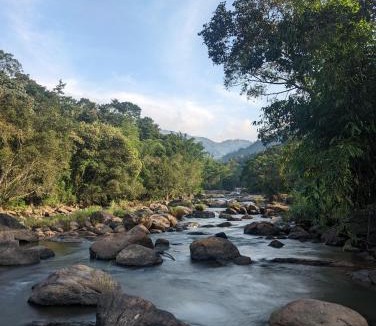 Udumbanchola Resort | Ayursakthi Riverdale