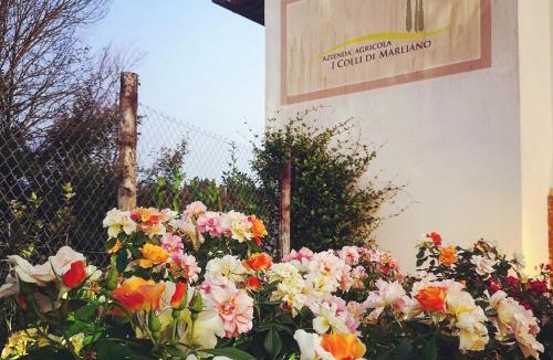 Lastra a Signa House | Azienda Agricola I Colli di Marliano