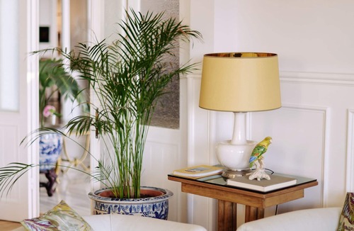 Adalar Hotel | Büyükada Splendid Palace Hotel