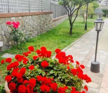 Sant'Anastasia Bed & Breakfast | B&B Alba