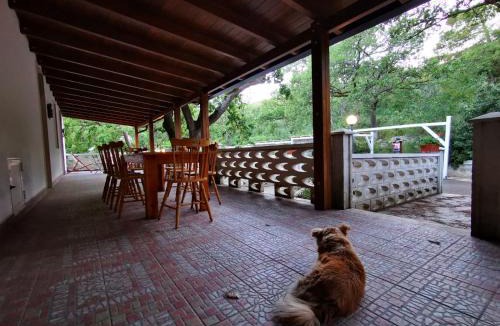 Cassano delle Murge Bed & Breakfast | B&B&Beer