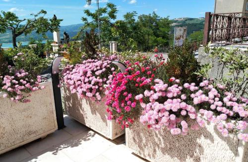 Celenza Valfortore Bed & Breakfast | B&B Celeste - Palazzo D'Addario