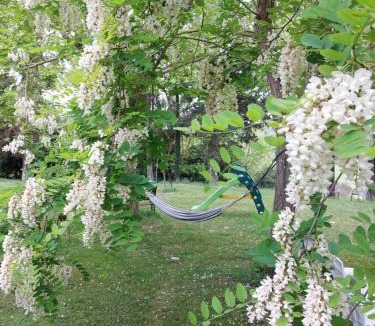 Collesalvetti Bed & Breakfast | B & B CUORE TOSCANO