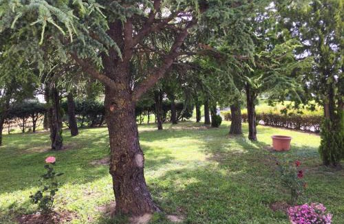Arcevia Apartment | B&B da Eli