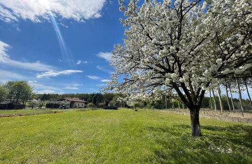 Rivarotta Bed & Breakfast | B&B Da Leone