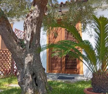 Maratea Bed & Breakfast | B&B da Maria Teresa - Maratea
