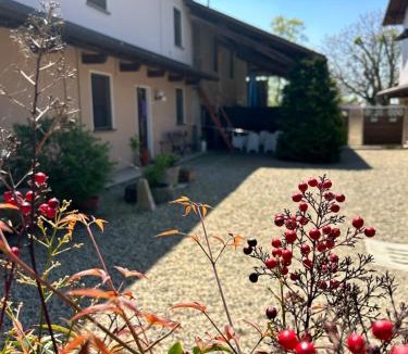 Ottobiano Bed & Breakfast | B&B dalLo Zio