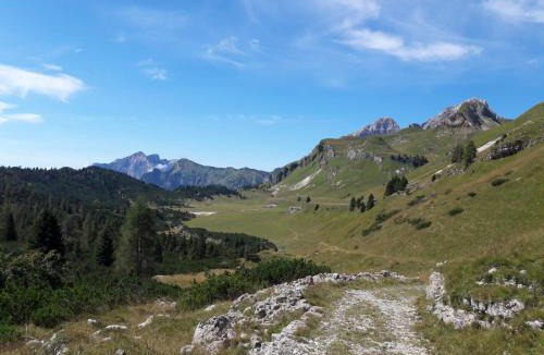 Sagron Mis Bed & Breakfast | B&B DOLOMIA