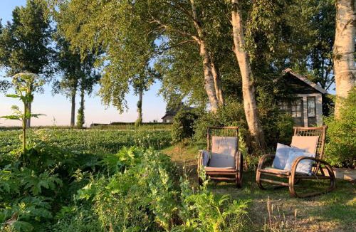 Buinerveen Bed & Breakfast | B&B Droom 44
