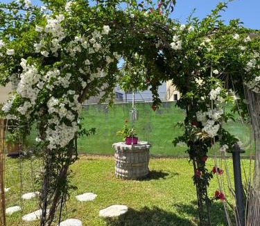 Sambuceto Bed & Breakfast | B&B Frontepista