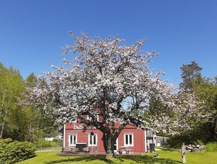 Asensbruk Bed & Breakfast | B&B Idala
