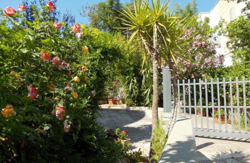 Putignano Bed & Breakfast | B&B Il Bambù